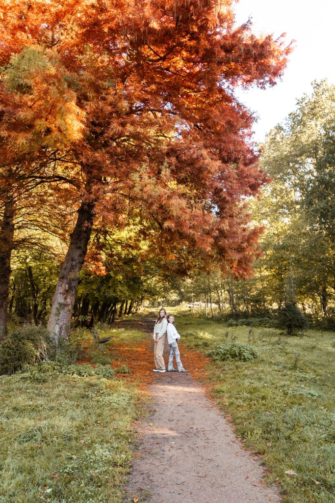 Kind loopt over een bospad met herfstkleuren